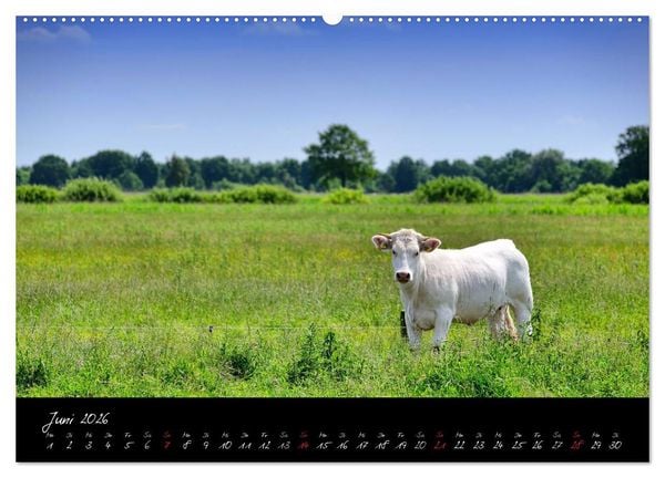 Produktbild: Vier- und Marschlande Hamburgs gr&uuml;ner S&uuml;dosten (hochwertiger Premium Wandkalender 2026 DIN A2 quer), Kunstdruck in Hochglanz