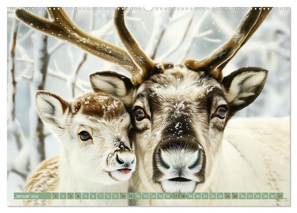 Produktbild: Tierkinder des Nordens (hochwertiger Premium Wandkalender 2026 DIN A2 quer), Kunstdruck in Hochglanz