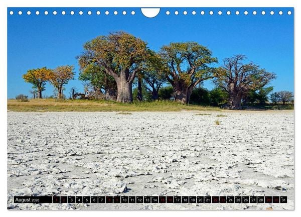 Produktbild: Faszination Botswana (Wandkalender 2026 DIN A4 quer), CALVENDO Monatskalender