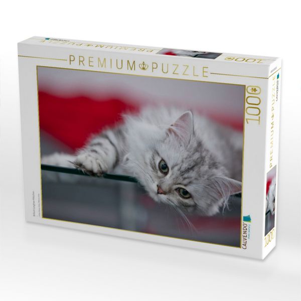 Produktbild: CALVENDO Puzzle Britisch Langhaar K&auml;tzchen | 1000 Teile Lege-Gr&ouml;&szlig;e 64x48cm Foto-Puzzle f&uuml;r gl&uuml;ckliche Stunden