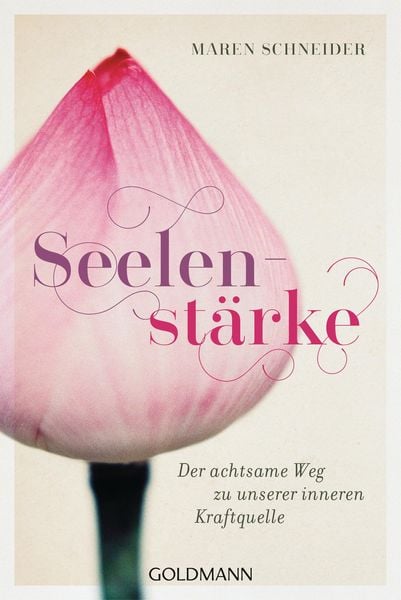 Produktbild: Seelenst&auml;rke