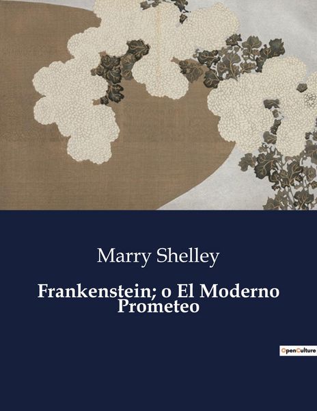Produktbild: Frankenstein; o El Moderno Prometeo
