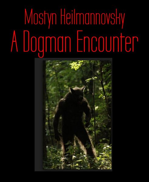 Produktbild: A Dogman Encounter