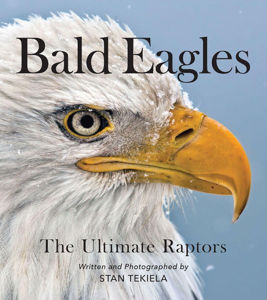 Produktbild: Bald Eagles