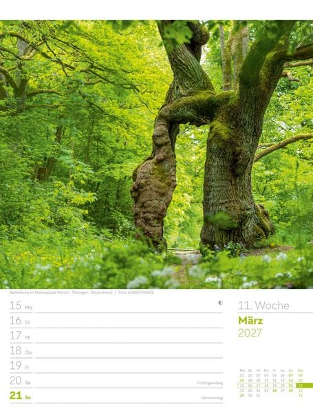 Produktbild: Unser Wald Wochenplaner Kalender 2027