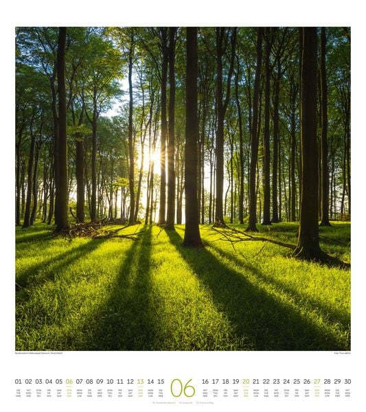 Produktbild: Lichtblicke Kalender 2027