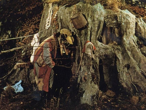 Produktbild: Der Wolf und die sieben jungen Gei&szlig;lein (1957) (Filmjuwelen / Schongerfilm-M&auml;rchen)