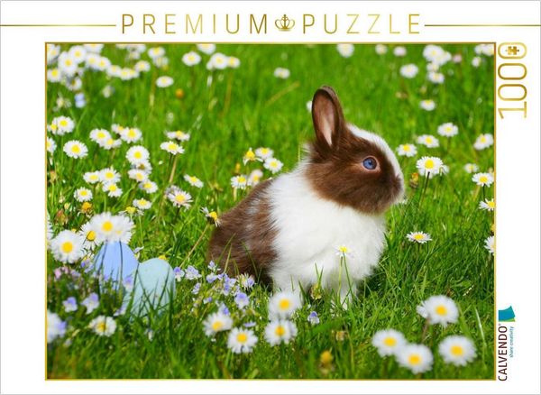 Produktbild: CALVENDO Puzzle Ein Motiv aus dem Kalender Kaninchen. Putzig, flauschig und geliebt | 1000 Teile Lege-Gr&ouml;&szlig;e 64x48cm Foto-Puzzle f&uuml;r gl&uuml;ckliche Stunden