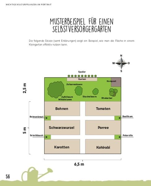 Produktbild: Gro&szlig;e Ernte aus kleinen G&auml;rten