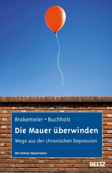 Produktbild: Die Mauer &uuml;berwinden