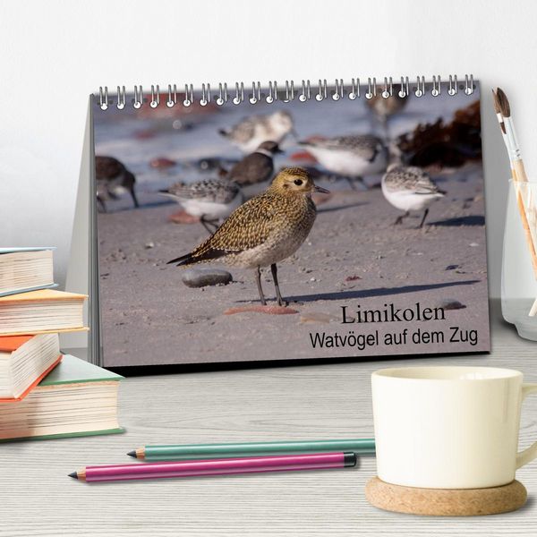 Produktbild: Limikolen Watv&ouml;gel auf dem Zug (Tischkalender 2026 DIN A5 quer), CALVENDO Monatskalender