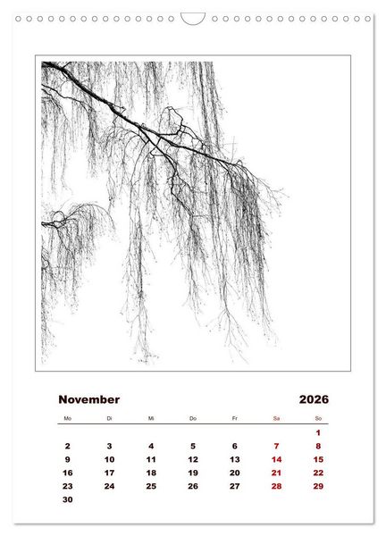 Produktbild: LignoGrafica - Muster und Strukturen der B&auml;ume (Wandkalender 2026 DIN A3 hoch), CALVENDO Monatskalender