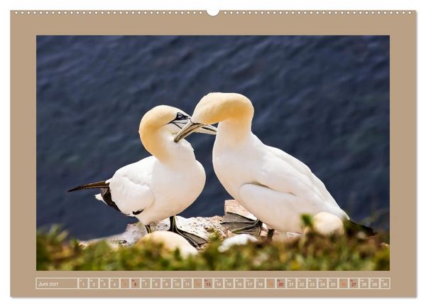 Produktbild: Helgoland,Deutschlands rote Felsen (hochwertiger Premium Wandkalender 2027 DIN A2 quer), Kunstdruck in Hochglanz