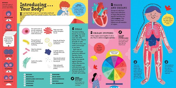 Produktbild: The Interactive Human Body