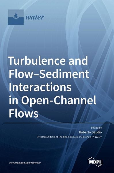 Produktbild: Turbulence and Flow-Sediment Interactions in Open-Channel Flows