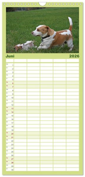 Produktbild: Familienplaner 2026 - DER BEAGLEige TERMINPLANER mit 5 Spalten (Wandkalender, 21 x 45 cm) CALVENDO