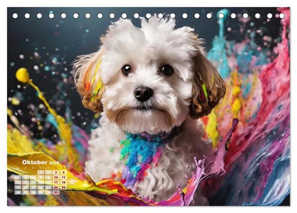 Produktbild: Splash - Hunde im Farbrausch (Tischkalender 2026 DIN A5 quer), CALVENDO Monatskalender
