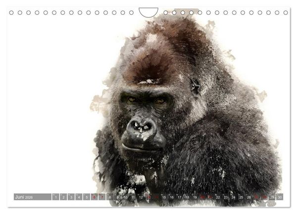 Produktbild: Tierportraits - Fine Art (Wandkalender 2026 DIN A4 quer), CALVENDO Monatskalender