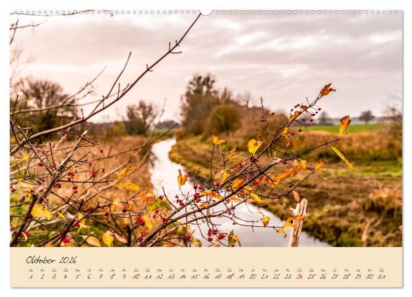 Produktbild: Friedl&auml;nder Gro&szlig;e Wiese (hochwertiger Premium Wandkalender 2026 DIN A2 quer), Kunstdruck in Hochglanz