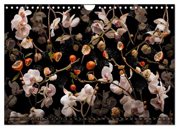 Produktbild: Orchidea (Wandkalender 2026 DIN A4 quer), CALVENDO Monatskalender