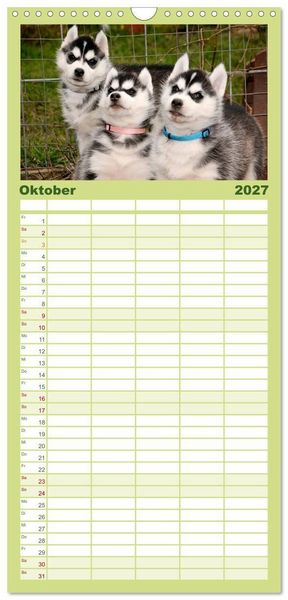 Produktbild: Familienplaner 2027 - Husky Welpen mit 5 Spalten (Wandkalender, 21 x 45 cm) CALVENDO