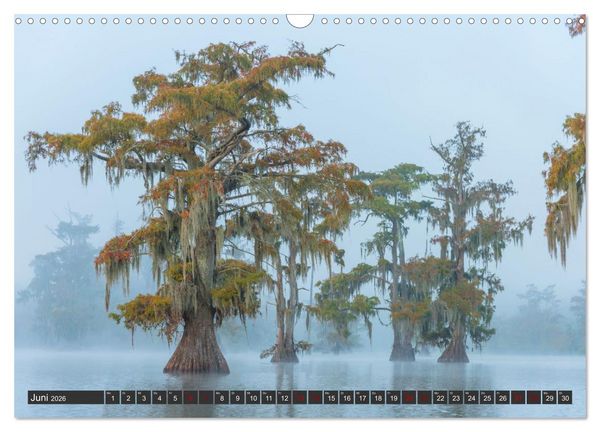 Produktbild: Natur Paradies Mississippi Delta (Wandkalender 2026 DIN A3 quer), CALVENDO Monatskalender