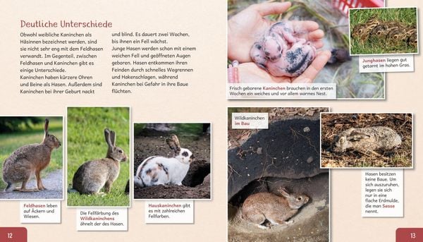 Produktbild: Meine gro&szlig;e Tierbibliothek: Das Kaninchen