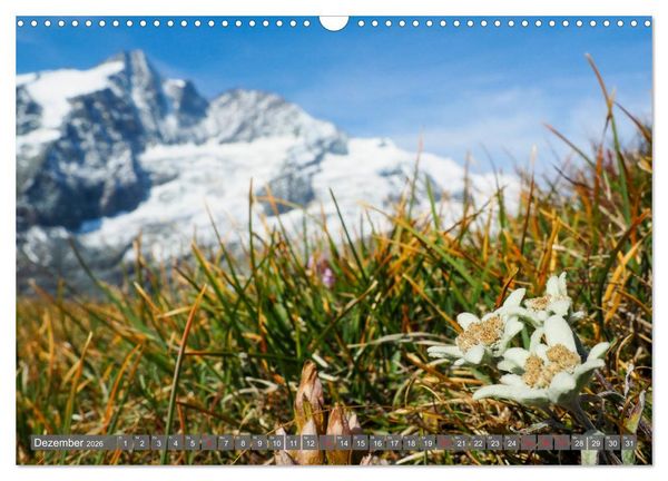 Produktbild: Flora der Alpen (Wandkalender 2026 DIN A3 quer), CALVENDO Monatskalender