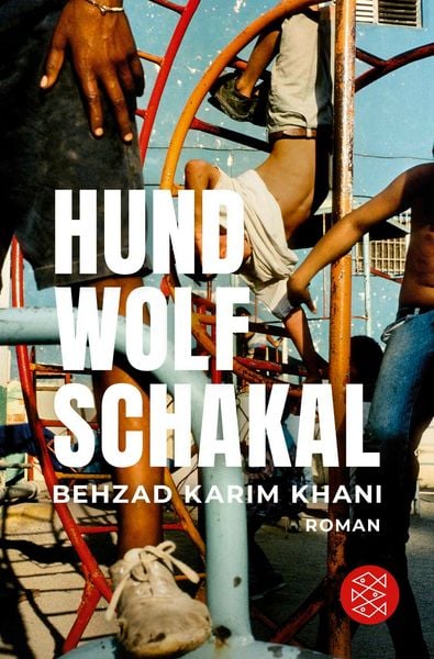 Produktbild: Hund, Wolf, Schakal