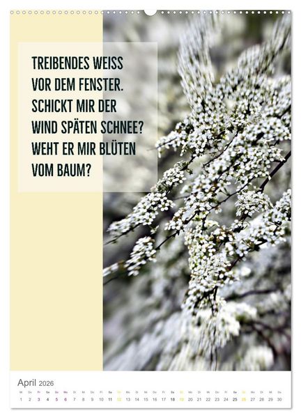Produktbild: Tagesfarben - Poesie in Wort und Bild (Wandkalender 2026 DIN A2 hoch), CALVENDO Monatskalender
