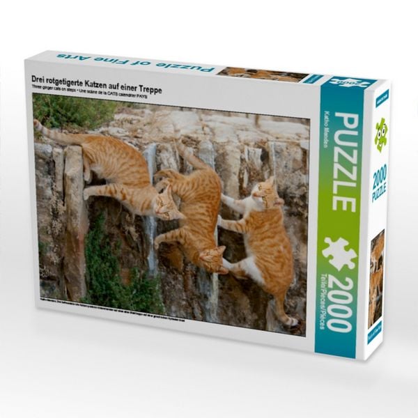 CALVENDO Puzzle Drei rotgetigerte Katzen auf einer Treppe | 2000 Teile Lege-Größe 90x67cm Foto-Puzzle für glückliche Stunden