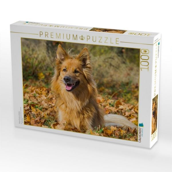 Produktbild: CALVENDO Puzzle Harzer Fuchs im Herbst | 1000 Teile Lege-Gr&ouml;&szlig;e 64x48cm Foto-Puzzle f&uuml;r gl&uuml;ckliche Stunden
