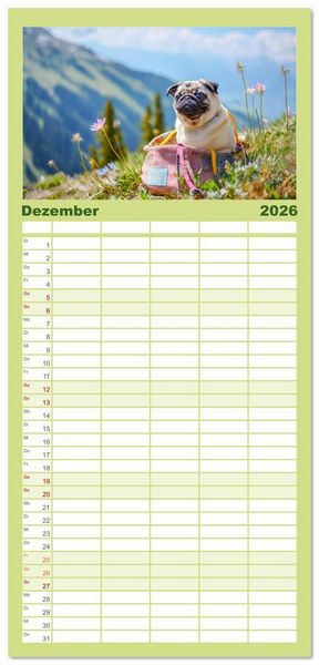 Produktbild: Familienplaner 2026 - Mops trifft Berglust. Fidele Gipfelst&uuml;rmer im H&ouml;henrausch mit 5 Spalten (Wandkalender, 21 x 45 cm) CALVENDO