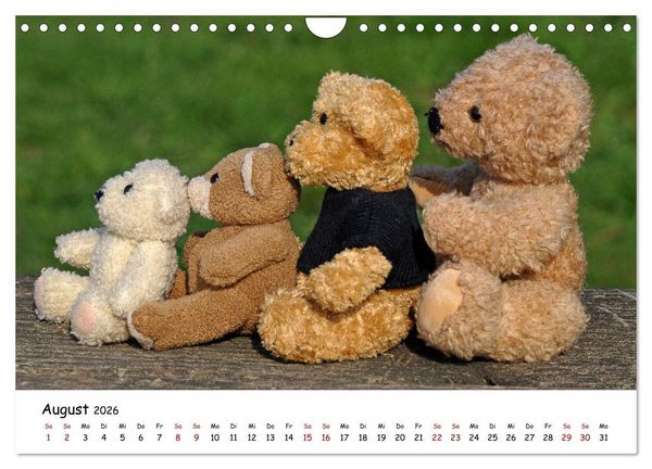 Produktbild: Allerliebste Teddyb&auml;ren (Wandkalender 2026 DIN A4 quer), CALVENDO Monatskalender