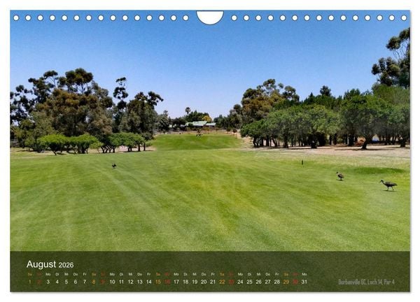 Produktbild: Golfpl&auml;tze Kapstadt (Wandkalender 2026 DIN A4 quer), CALVENDO Monatskalender