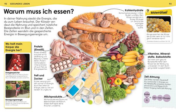 Produktbild: Weshalb? Deshalb! K&ouml;rper