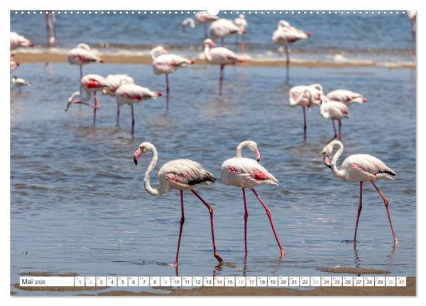 Produktbild: Afrika - Namibia (Wandkalender 2026 DIN A2 quer), CALVENDO Monatskalender