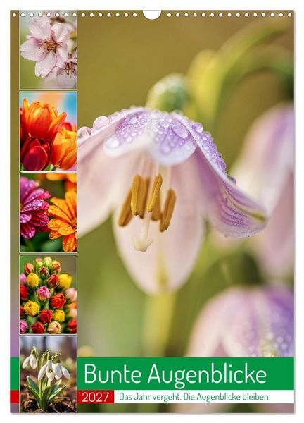 Produktbild: Bunte Augenblicke (Wandkalender 2027 DIN A3 hoch), CALVENDO Monatskalender