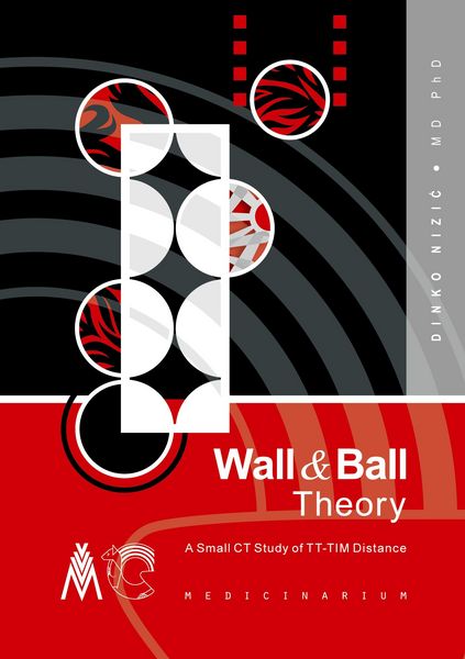 Produktbild: Wall & Ball Theory