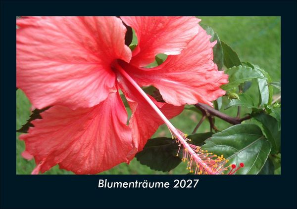 Produktbild: Blumentr&auml;ume 2027 Fotokalender DIN A5