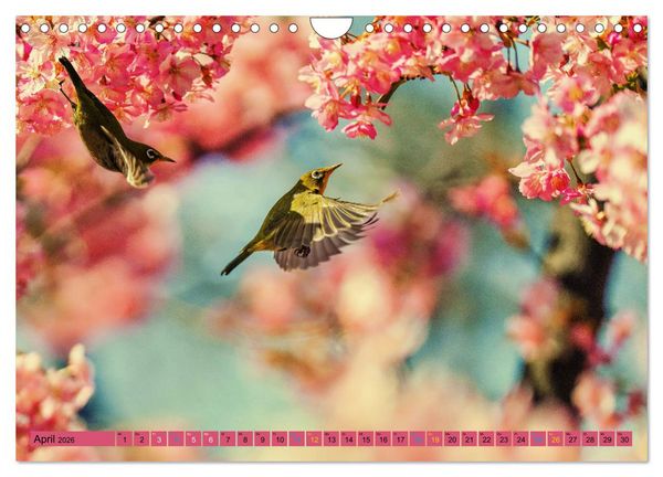 Produktbild: JAPAN - Im Land des L&auml;chelns (Wandkalender 2026 DIN A4 quer), CALVENDO Monatskalender