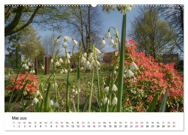 Produktbild: Buxtehude - Eine Perle in Niedersachsen (hochwertiger Premium Wandkalender 2026 DIN A2 quer), Kunstdruck in Hochglanz