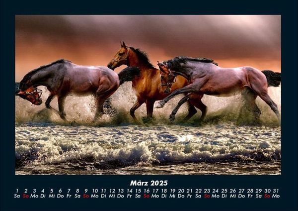 Produktbild: Pferdegefl&uuml;ster 2025 Fotokalender DIN A4
