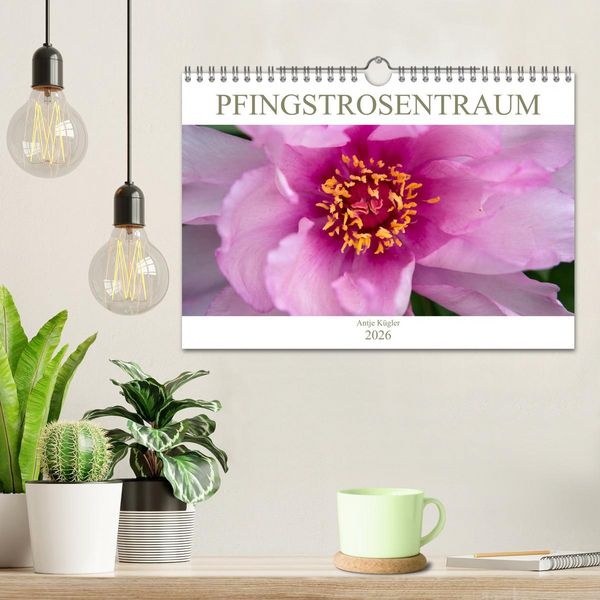 Produktbild: Pfingstrosentraum (Wandkalender 2026 DIN A4 quer), CALVENDO Monatskalender