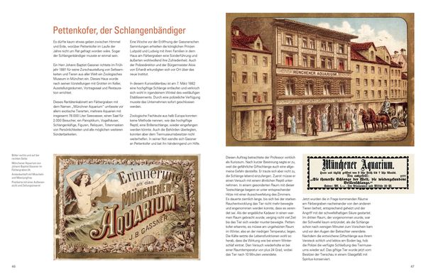 Produktbild: Meine Verehrung Exzellenz !