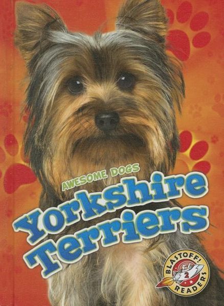 Produktbild: Yorkshire Terriers