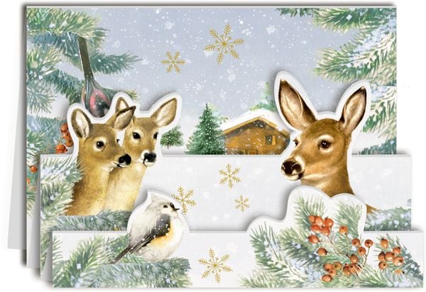 Produktbild: Marjoleins Wintergr&uuml;&szlig;e, Mini-Adv.kal.-Sort. Pop-up (Bastin)