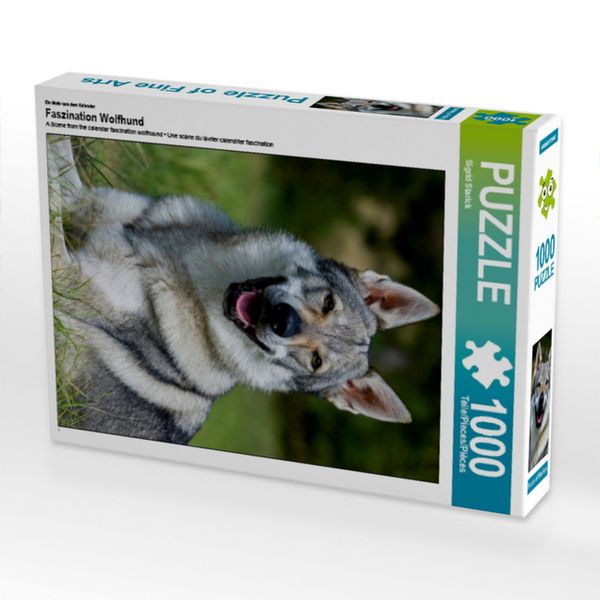 Produktbild: CALVENDO Puzzle Ein Motiv aus dem Kalender Faszination Wolfhund | 1000 Teile Lege-Gr&ouml;&szlig;e 64x48cm Foto-Puzzle f&uuml;r gl&uuml;ckliche Stunden