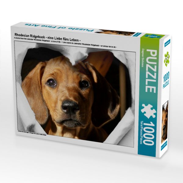 Produktbild: CALVENDO Puzzle Rhodesian Ridgeback - eine Liebe f&uuml;rs Leben - 1000 Teile Puzzle quer | 1000 Teile Lege-Gr&ouml;&szlig;e 64 &times; 48 cm Foto-Puzzle f&uuml;r gl&uuml;ckliche Stunden