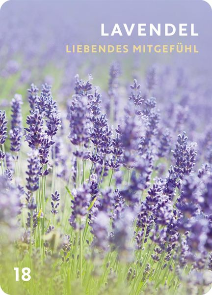 Produktbild: D&uuml;fte f&uuml;r die Seele